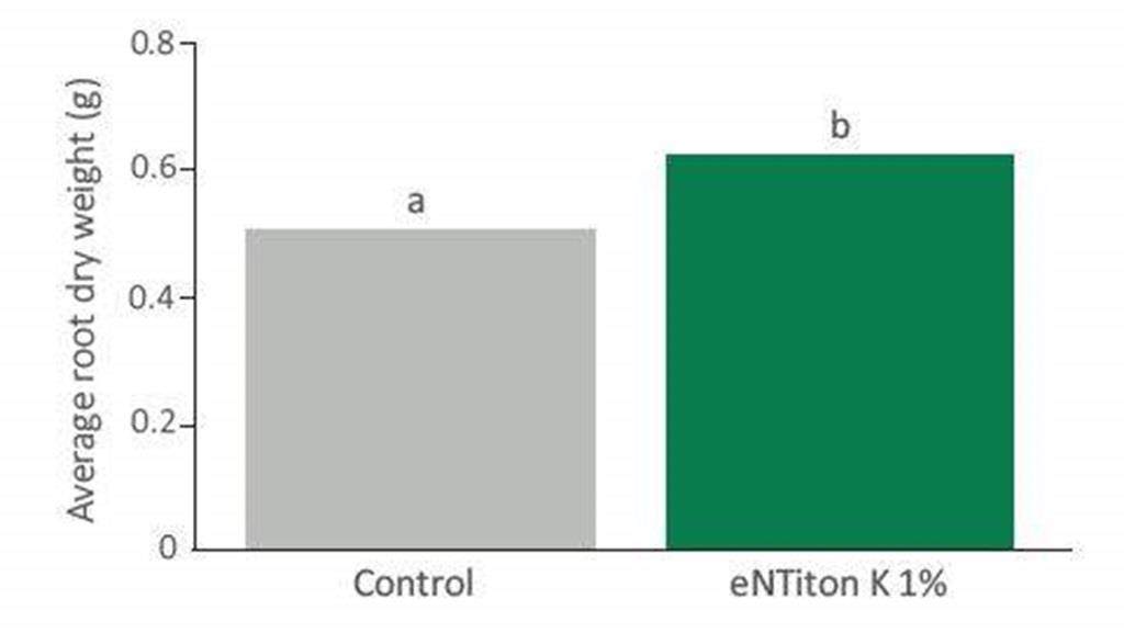 lettuce root biomass uplift graph when entiton is applied